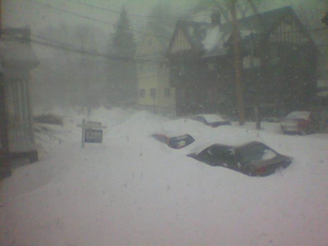 cars buried in snow